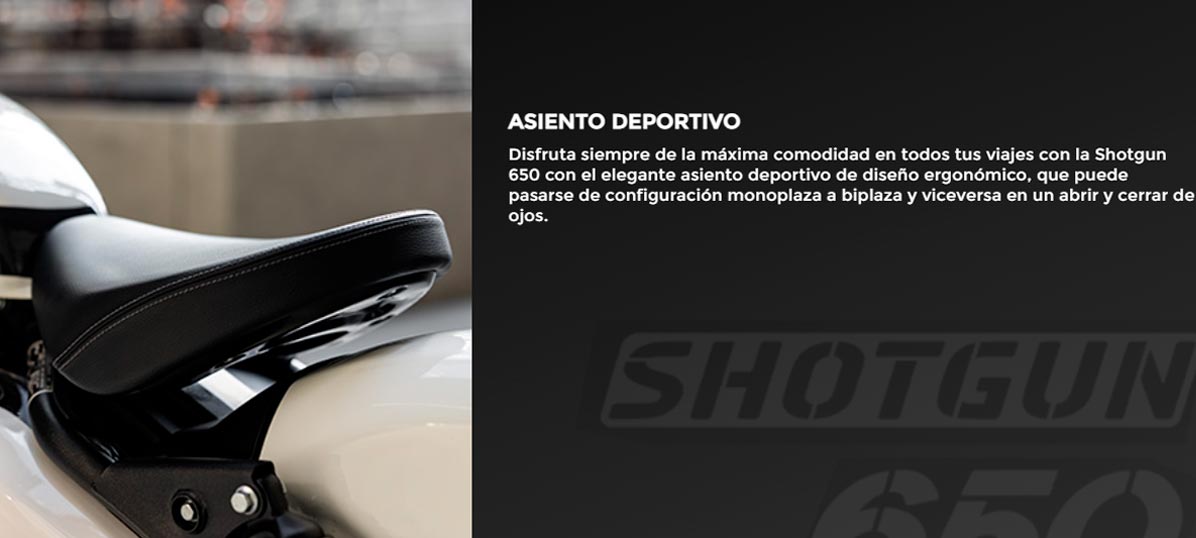 Asiento Deportivo